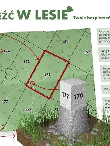 Poradnik las prof Poradnik las prof