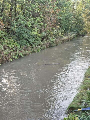 Rzeka katowice Rzeka katowice