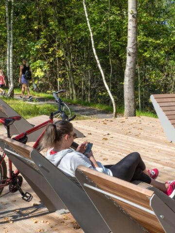 Staw Kozubek Katowice Staw Kozubek Katowice