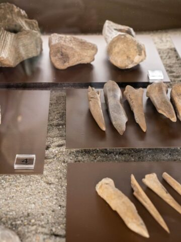 "Góra Zyndrama Tajemnicza twierdza sprzed 3700 lat" w Muzeum Śląskim "Góra Zyndrama Tajemnicza twierdza sprzed 3700 lat" w Muzeum Śląskim