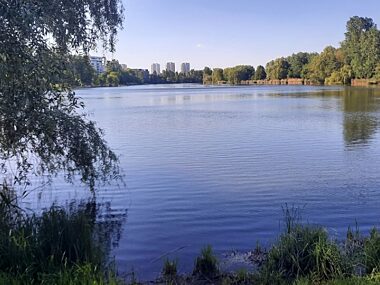 Staw Laka Katowice