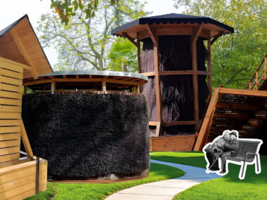 Ślązacy pokochali tężnie. Czy faktycznie są zdrowe? L zag ilustracje artyku owe t nie solankowe 1920x1080