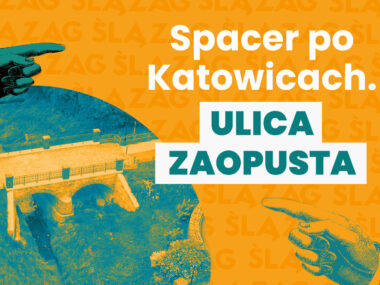 Wideospacer ulicą Zaopusta w Katowicach Spacer po kato zaopusta