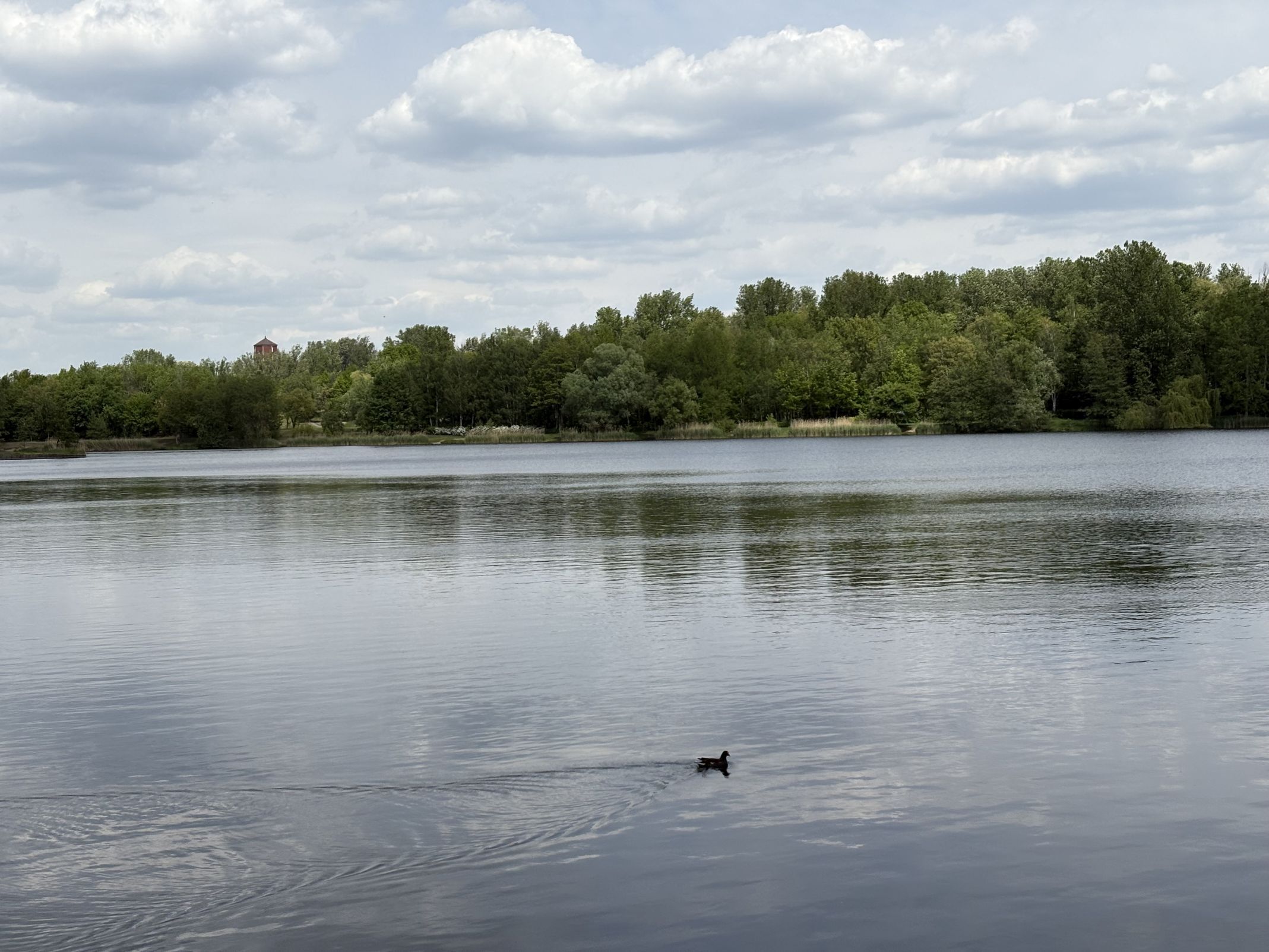 Dolina Trzech Stawów