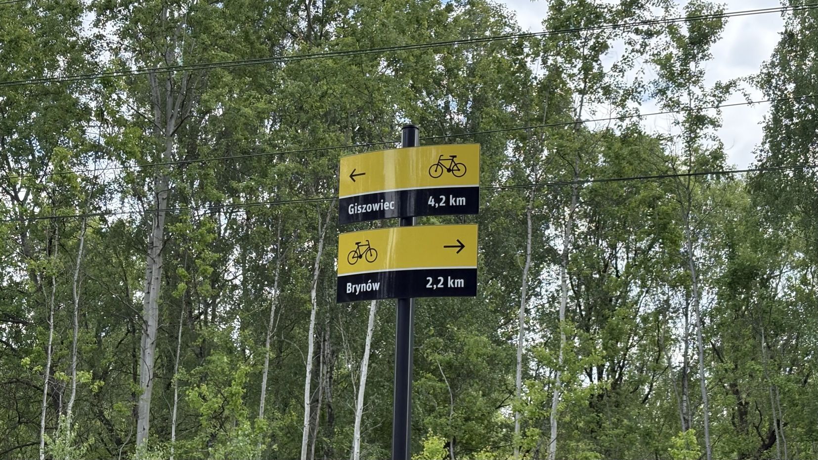 Velostrada nr 6