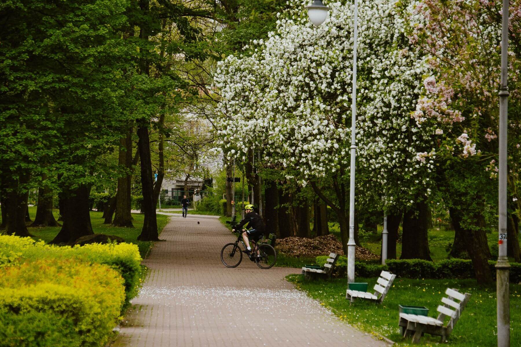 Park kosciuszki wiosna 13